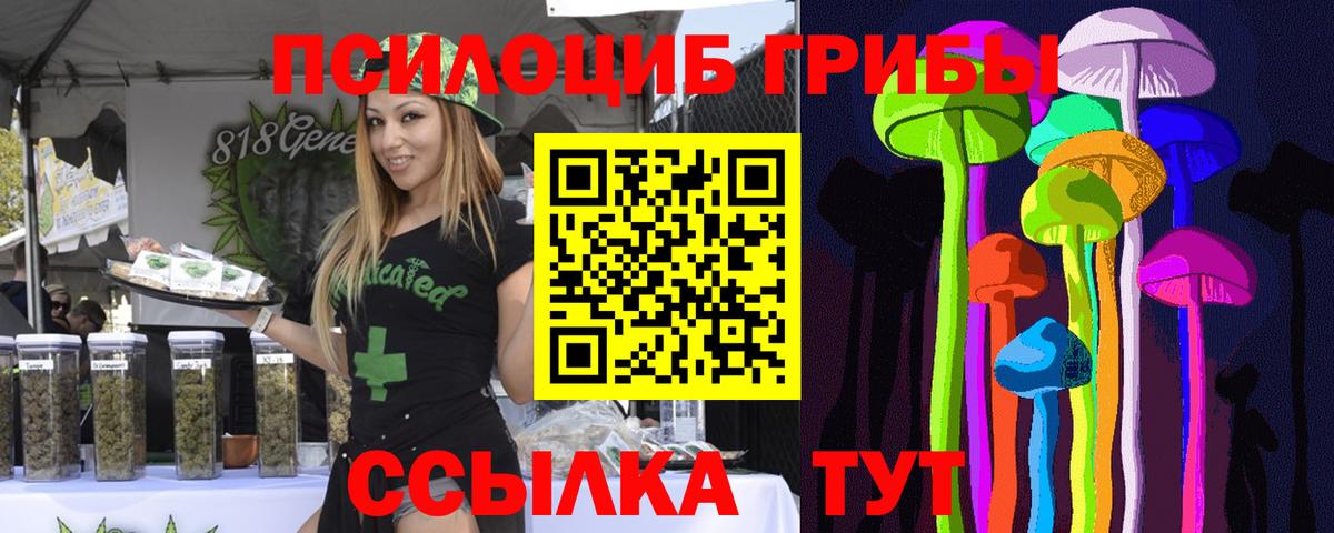 Псилоцибиновые грибы Psilocybine cubensis  Вход с VPN  Одинцово  Псилоцибиновые грибы Psilocybine cubensis 