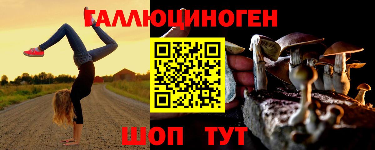 Галлюциногенные грибы мицелий Одинцово